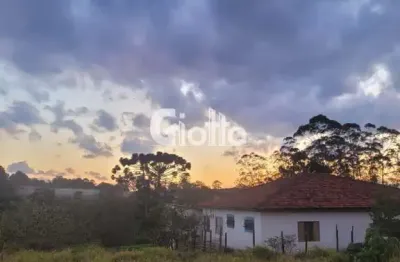 Sítio à venda bairro são martinho, mogi das cruzes/sp - 17000m²