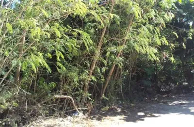 Terreno à venda na Rua Samuel Wainer Filho, Itaipu, Niterói