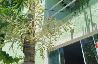 Casa com 3 quartos à venda na Felismina Cortez Pires, Serra Grande, Niterói