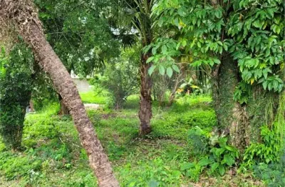 Terreno à venda na Rua Geralda Pontes Miranda de Oliveira, S/N, Engenho do Mato, Niterói