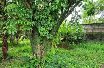 Terreno à venda na Rua Geralda Pontes Miranda de Oliveira, 3, Engenho do Mato, Niterói