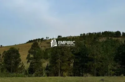 Chácara / sítio à venda na Rua Augusto Ribas, 0000, Zona Rural, Ponta Grossa