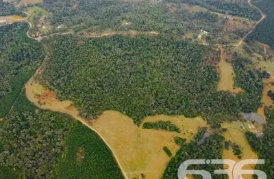 Chácara / sítio com 3 quartos à venda na Estrada Municipal Laranjeiras, Bateias de Baixo, Campo Alegre