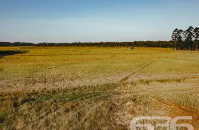 Terreno à venda na Rua Quinze de Novembro, 14588, Vila Nova, Joinville