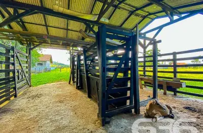 Chácara / sítio com 4 quartos à venda na Estrada Palmeiras, 4150, Rio Bonito (Pirabeiraba), Joinville