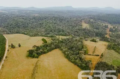 Terreno à venda na Estrada Municipal Laranjeiras, Bateias de Baixo, Campo Alegre