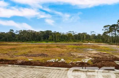 Terreno à venda na Rua Lagoa, Praia do Ervino, São Francisco do Sul