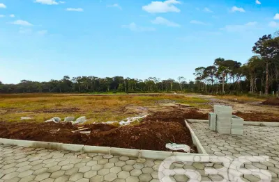 Terreno à venda na Rua Lagoa, Praia do Ervino, São Francisco do Sul