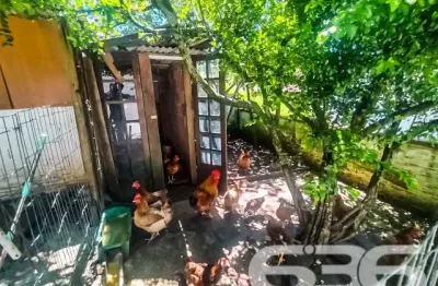 Casa com 4 quartos à venda na Rua Fátima, 207, Jarivatuba, Joinville