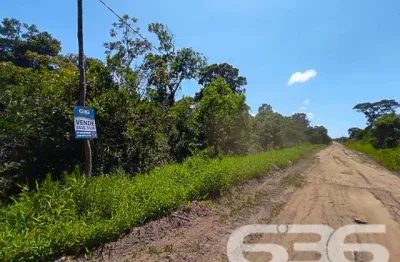 Terreno à venda na Rua Copenhagen, Praia do Ervino, São Francisco do Sul
