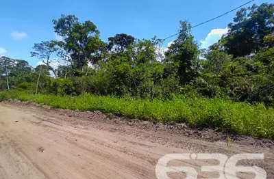 Terreno à venda na Rua Copenhagen, Praia do Ervino, São Francisco do Sul