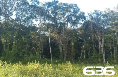 Terreno à venda na Rua Campo Verde, Gamboa, São Francisco do Sul