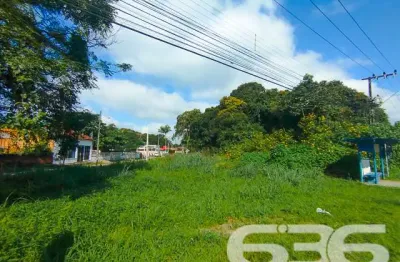 Terreno à venda na Rua Rod. Duque De Caxias, Iperoba, São Francisco do Sul
