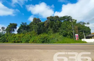 Terreno à venda na Rua Rod. Duque De Caxias, Iperoba, São Francisco do Sul