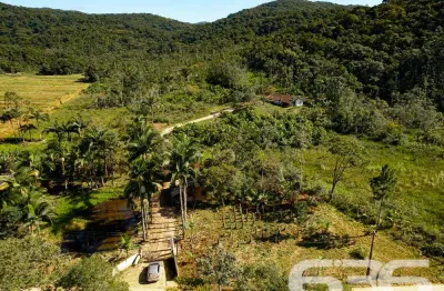 Chácara / sítio com 3 quartos à venda na Estrada, Vila da Glória, São Francisco do Sul