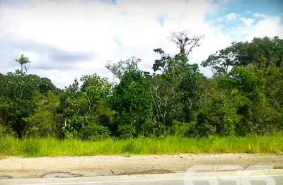 Chácara / sítio à venda na Perequê, Pinheiros, Balneário Barra do Sul