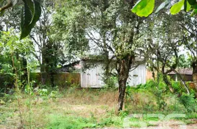 Terreno à venda na Perequê, 491, Pinheiros, Balneário Barra do Sul