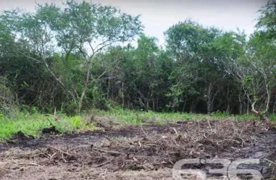 Terreno à venda na Perequê, 17, Pinheiros, Balneário Barra do Sul