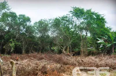 Terreno à venda na Perequê, 17, Pinheiros, Balneário Barra do Sul