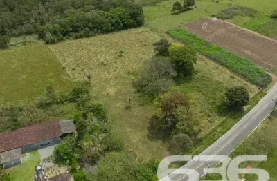 Terreno à venda na Perequê, 680, Pinheiros, Balneário Barra do Sul