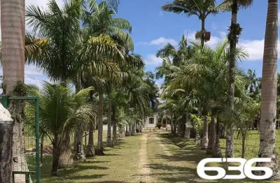 Chácara / sítio com 5 quartos à venda na Estrada Caminho Curto, Rio Bonito (Pirabeiraba), Joinville