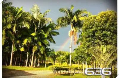 Chácara / sítio com 5 quartos à venda na Estrada Caminho Curto, Rio Bonito (Pirabeiraba), Joinville