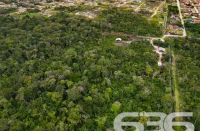 Terreno à venda na Nereu Ramos, Salinas, Balneário Barra do Sul