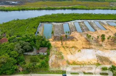 Terreno à venda na Perequê, 1370, Pinheiros, Balneário Barra do Sul