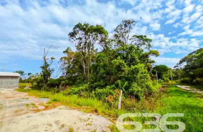 Terreno à venda na Rua Checoslováquia, Praia do Ervino, São Francisco do Sul