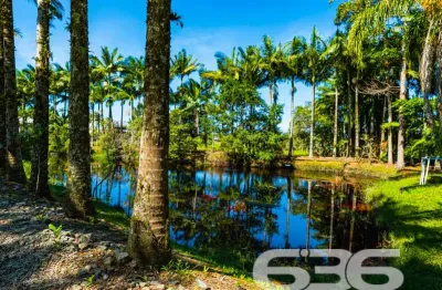 Chácara / sítio com 2 quartos à venda na Perequê, 871, Pinheiros, Balneário Barra do Sul
