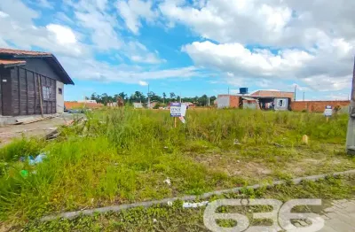 Terreno à venda na Rua Maria Ambrosina Tavares Eccel, Colégio Agrícola, Araquari