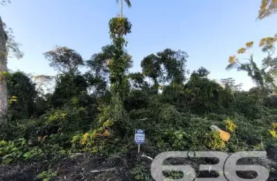 Terreno à venda na Nereu Ramos, Salinas, Balneário Barra do Sul