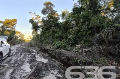 Terreno à venda na Nereu Ramos, Salinas, Balneário Barra do Sul