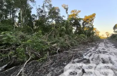 Terreno à venda na Nereu Ramos, Salinas, Balneário Barra do Sul