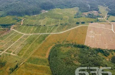 Terreno à venda na Estrada Da Glória, Sai Mirim, Itapoá