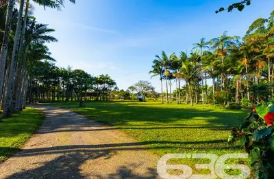 Chácara / sítio com 3 quartos à venda na Perequê, 895, Pinheiros, Balneário Barra do Sul