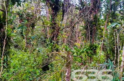 Terreno à venda na Areais, Conquista, Balneário Barra do Sul
