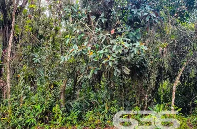 Terreno à venda na Areais, Conquista, Balneário Barra do Sul