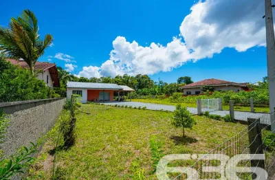 Chácara / sítio com 2 quartos à venda na Perequê, 104, Pinheiros, Balneário Barra do Sul