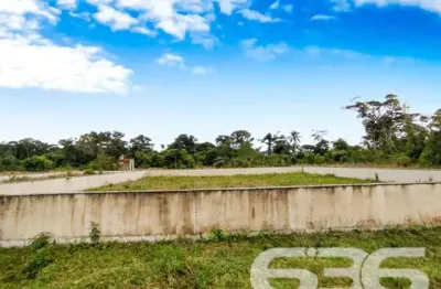 Terreno à venda na Rua Montevidéo, Praia do Ervino, São Francisco do Sul