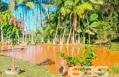 Chácara / sítio com 3 quartos à venda na Rua Vitor Aguiar, 333, Escalvado, Barra Velha