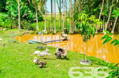 Chácara / sítio com 3 quartos à venda na Rua Vitor Aguiar, 333, Escalvado, Barra Velha