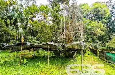 Casa com 4 quartos à venda na Rua Ministro Calógeras, 88, Atiradores, Joinville