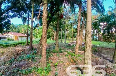 Terreno à venda na Rua Rod. Duque De Caxias, Iperoba, São Francisco do Sul