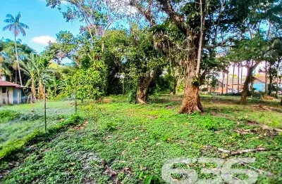Terreno à venda na Rua Rod. Duque De Caxias, Iperoba, São Francisco do Sul