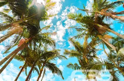 Casa com 3 quartos à venda na Jaraguá Do Sul, Costeira, Balneário Barra do Sul