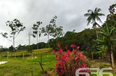 Chácara / sítio com 3 quartos à venda na Rua Quinze de Novembro, Vila Nova, Joinville