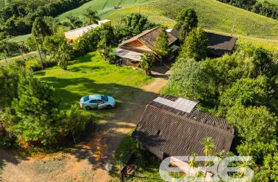 Chácara / sítio com 3 quartos à venda na Servidão Avenquinha, 333, Avenquinha, Campo Alegre