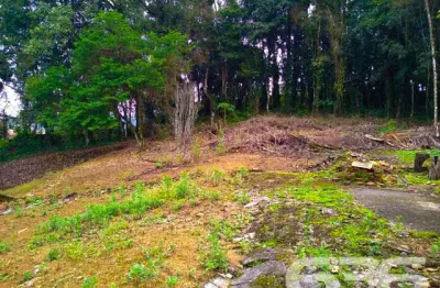 Terreno à venda na Rua Tenente Antônio João, 300, Bom Retiro, Joinville