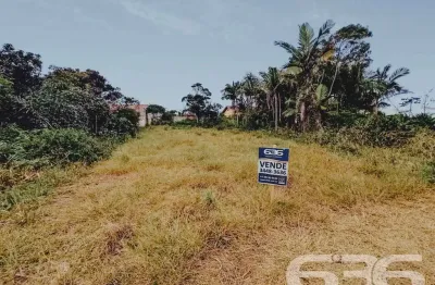 Terreno à venda na Rua Ilhota, Praia do Ervino, São Francisco do Sul